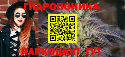 крисы Железногорск