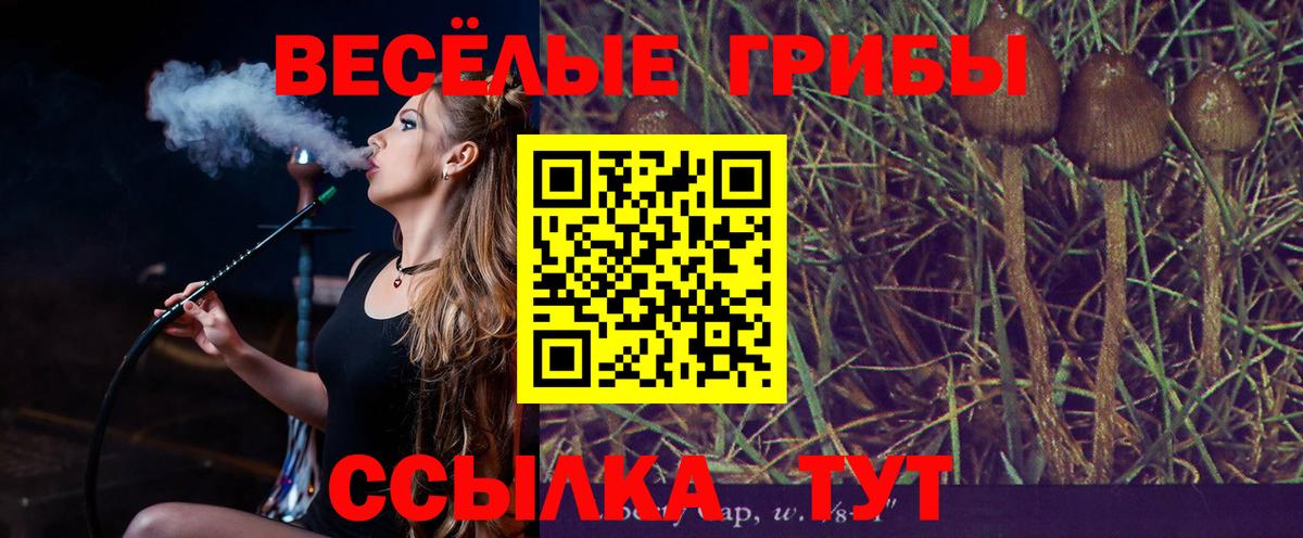 Псилоцибиновые грибы прущие грибы Россия